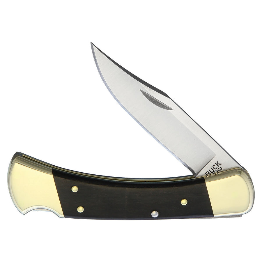 Buck 110 Hunter 3.75" 420HC Crelicam Ebony Folding Knife with Leather Pouch