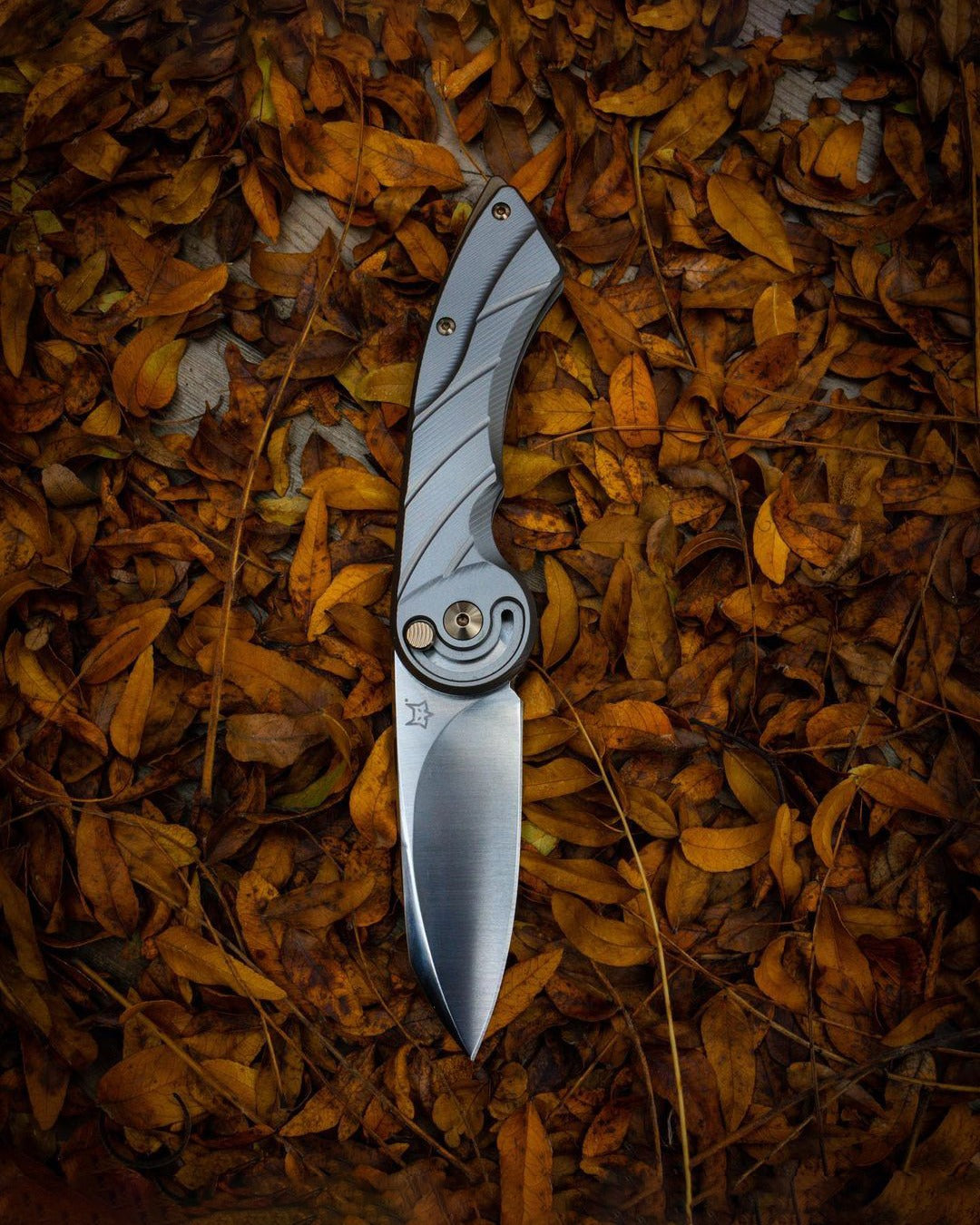 Fox Radius 2.95" M390 Titanium Folding Knife FX-550 TI