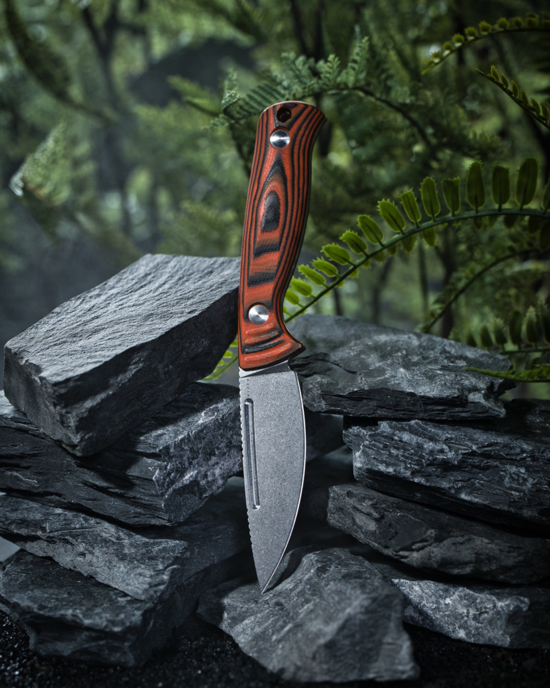 Kizer Evenki 2 3.49" AEB-L Orange Black G10 Fixed Blade Knife 1098A1