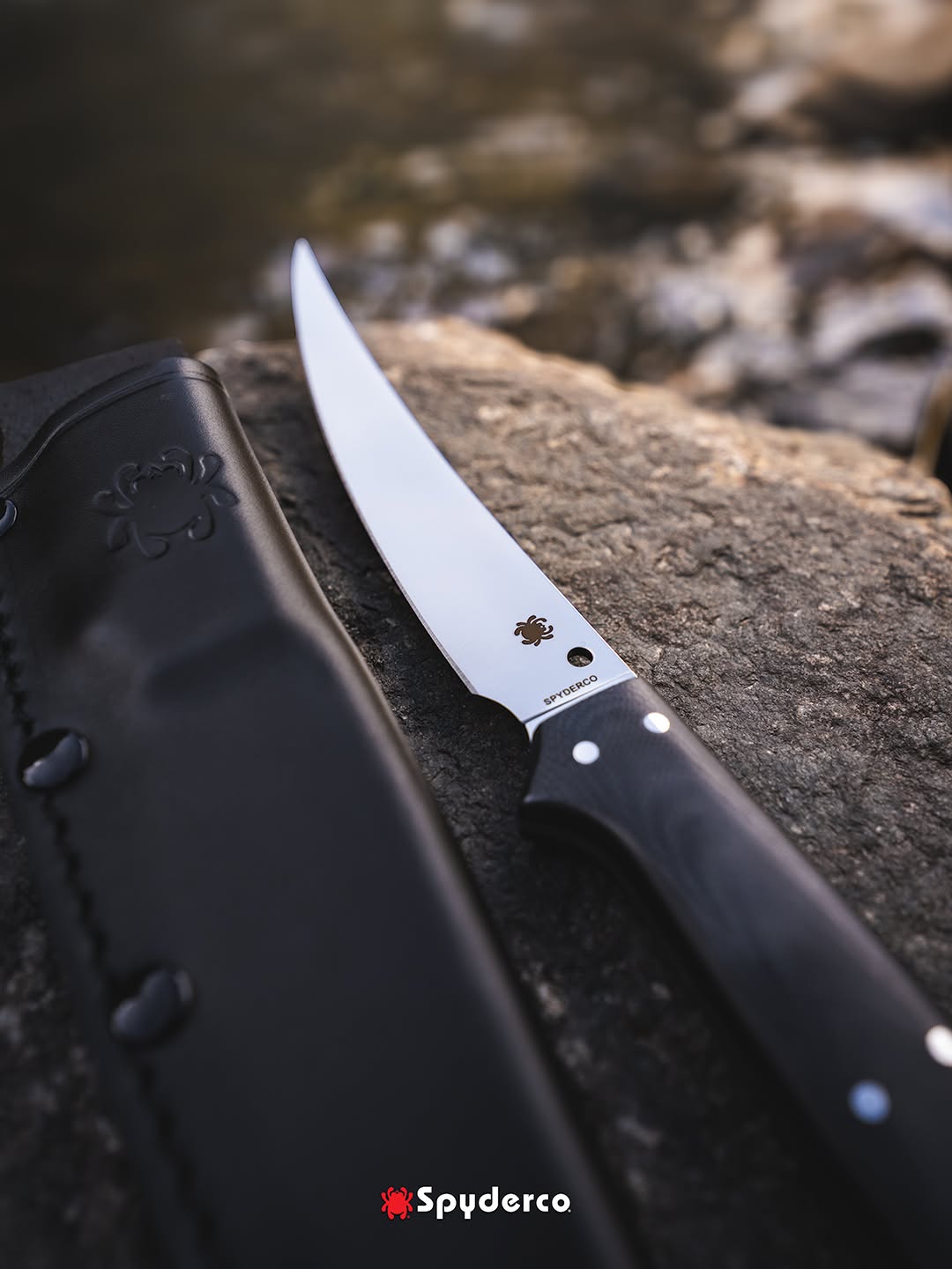 Spyderco Shelter Cove 5.78" 8Cr17MoV Black G10 Fillet Knife with Leather Sheath FB52GP