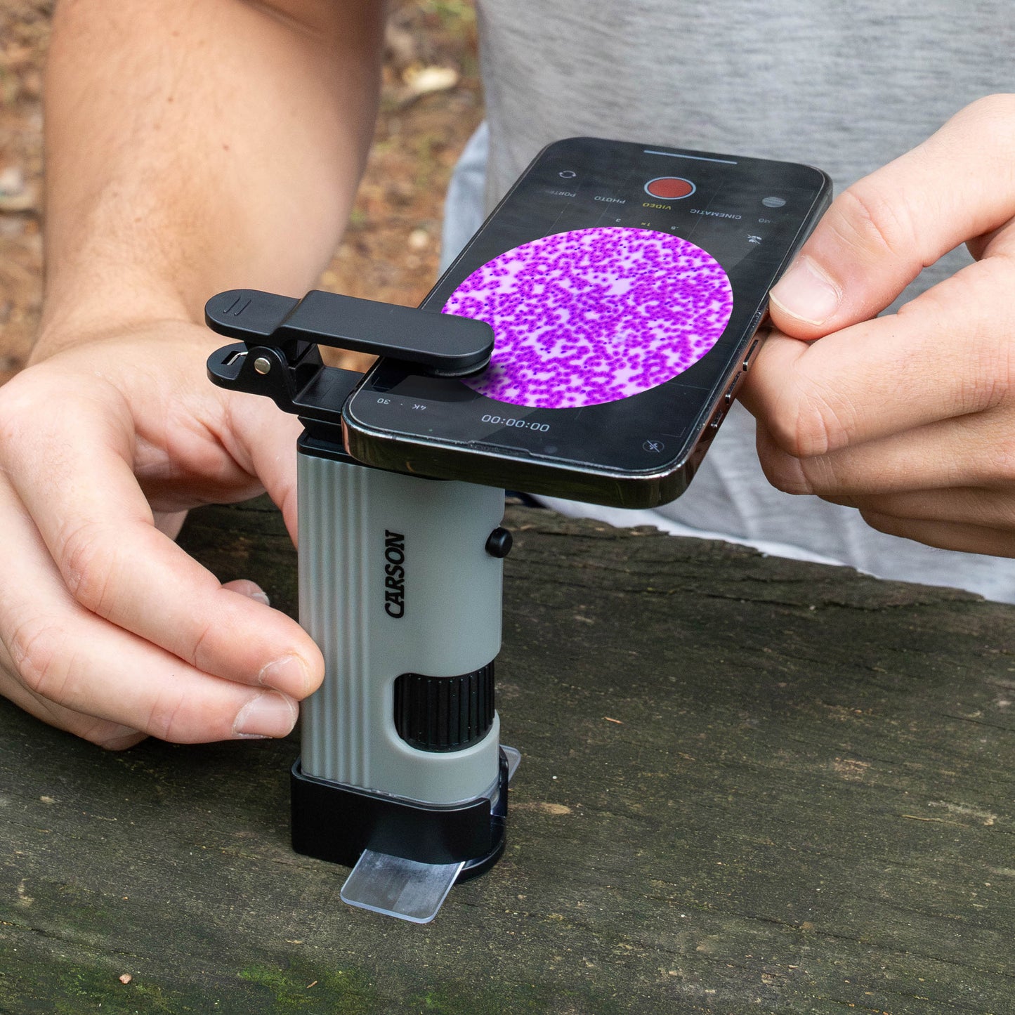 Carson MicroPic™ 120x-240x Dual LED High-Resolution Pocket Microscope with Slide Base and Smartphone Digiscoping Clip MP-400