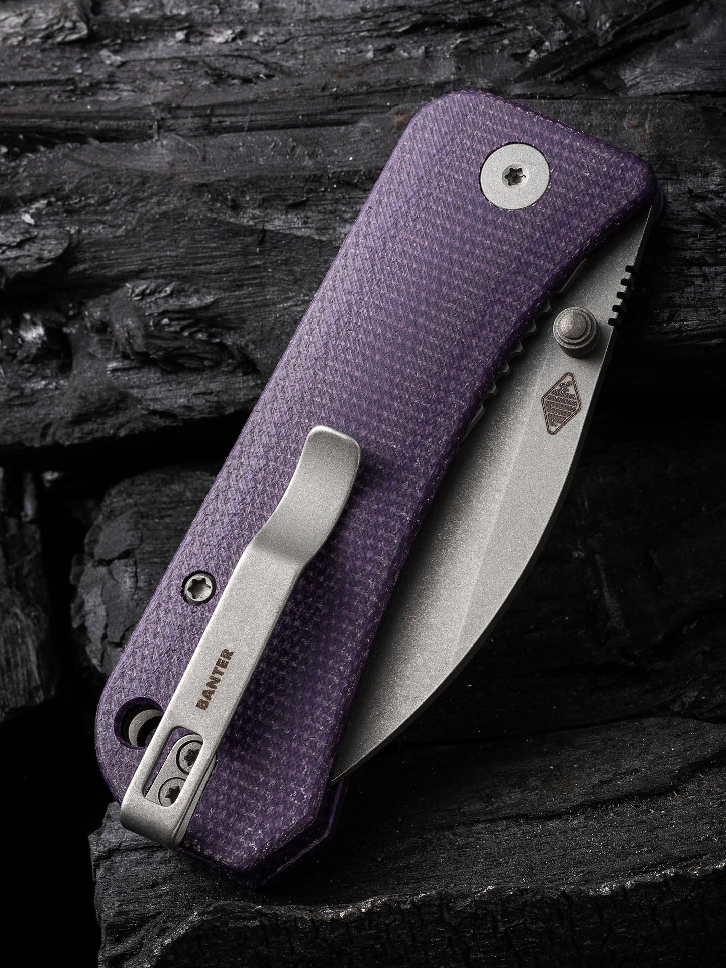 WE Knife Banter Wharncliffe 2.85" CPM S35VN Purple Canvas Micarta Folding Knife WE19068J-2