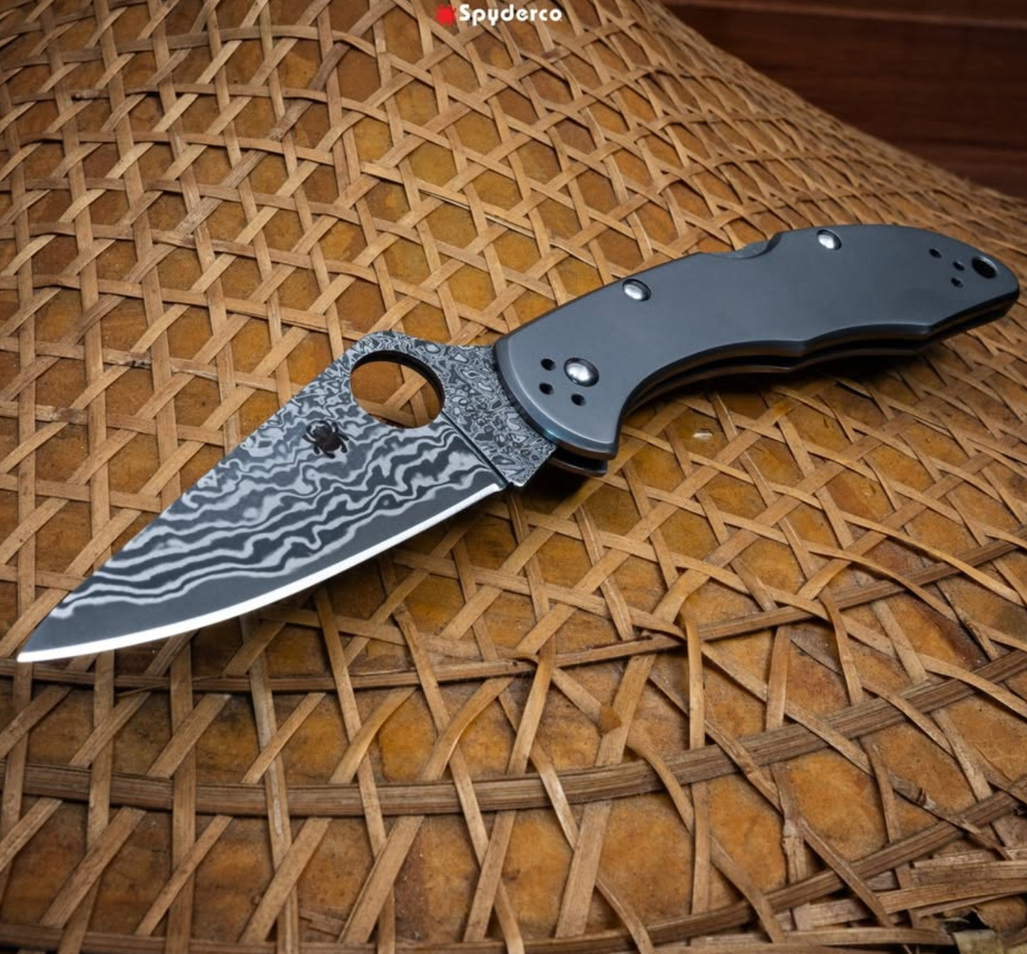 Spyderco Delica 4 2.9" Takefu DPS 15 Damascus Titanium Folding Knife C11TIPD