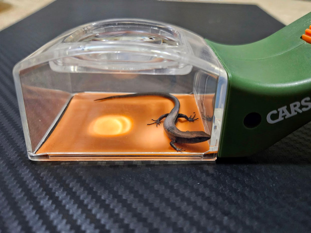 Carson BugView™ Quick-Release Insect Catcher / Bug Catching Tool and Magnifier HU-10