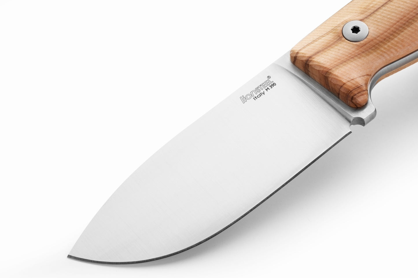 LionSteel M2M 3.54" M390 Olive Wood Fixed Blade Knife with Leather Sheath