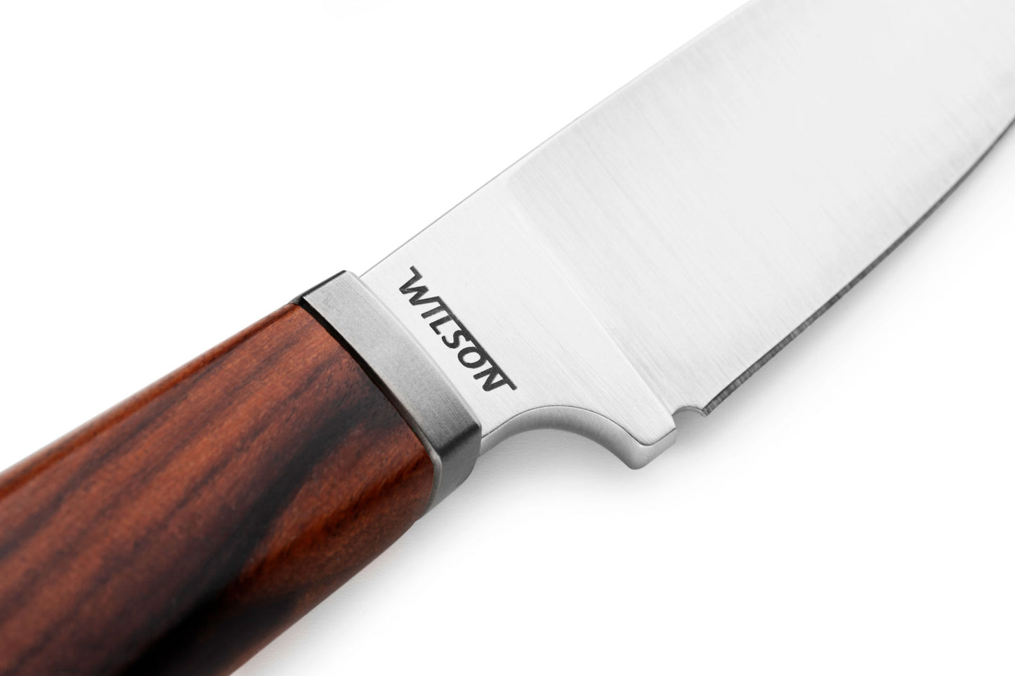LionSteel Willy 2.56" M390 Santos Wood Fixed Blade Knife with Leather Sheath WL1 ST