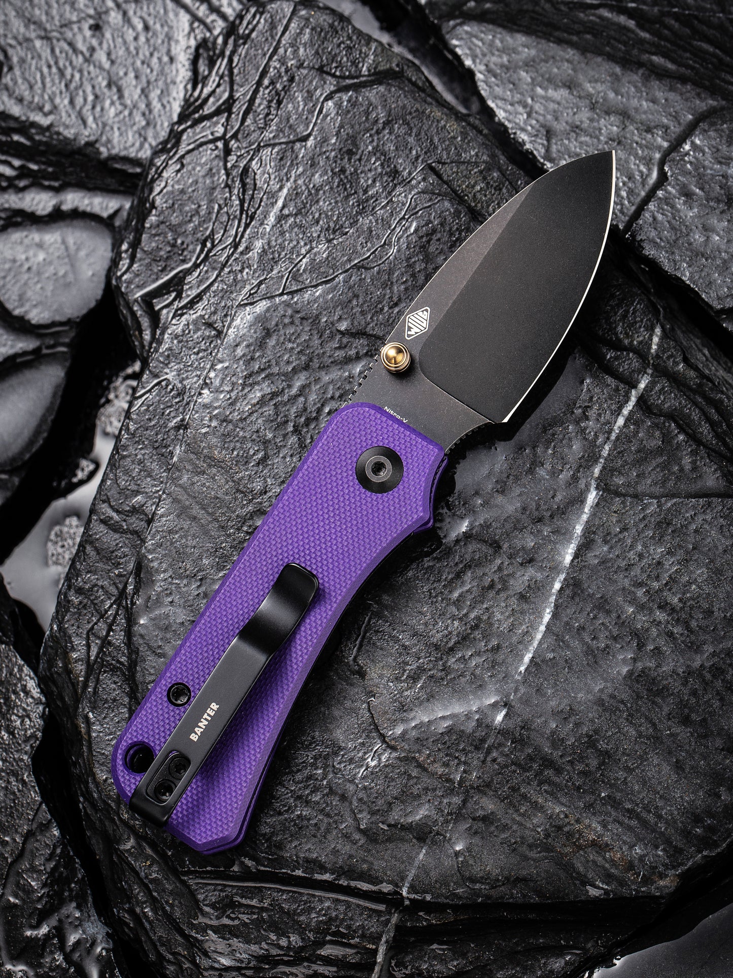 Civivi Baby Banter 2.34" Black Nitro-V Purple G10 Folding Knife C19068S-4