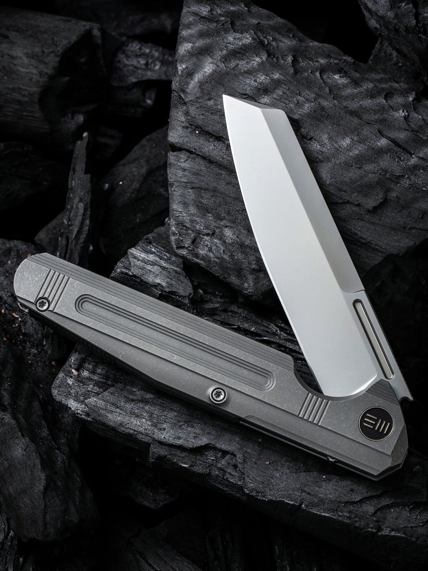 WE Reiver Limited Edition 3.97" CPM S35VN Gray Titanium Folding Knife WE16020-1