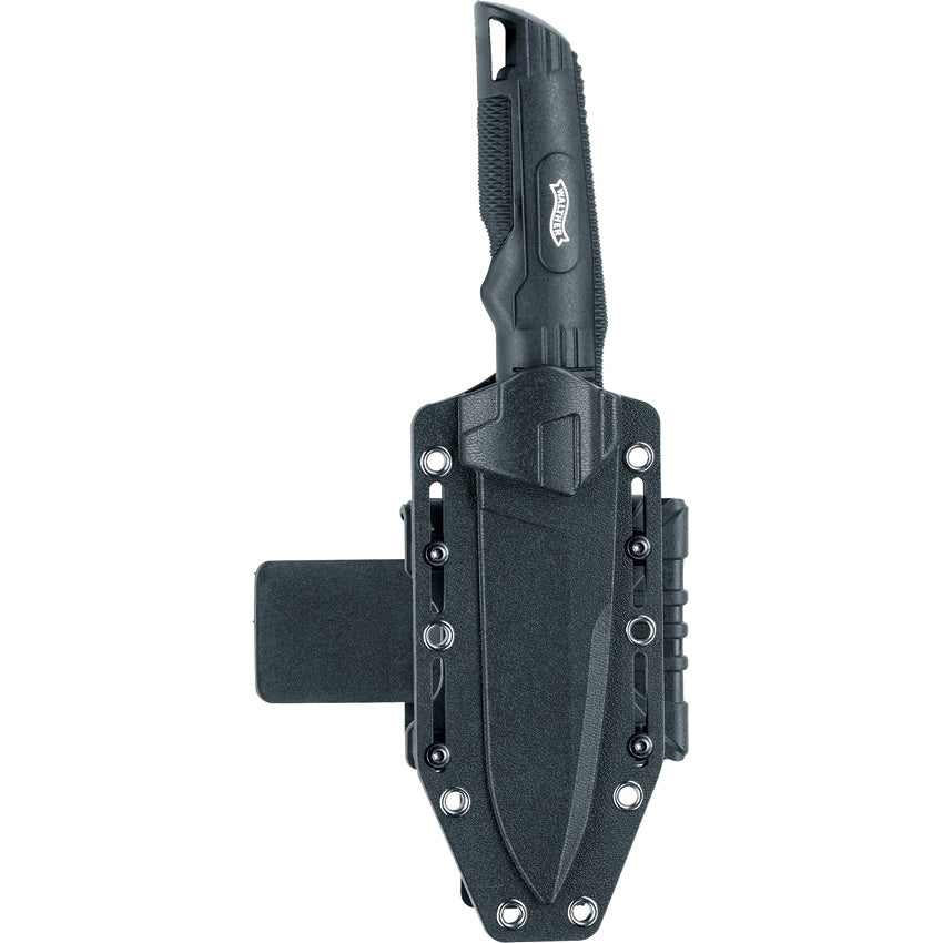 Walther Backup 4" Fixed Blade Knife with Multi Position Nylon Sheath