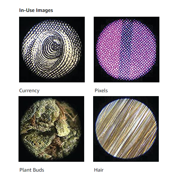 Carson MicroMini 20x LED Lighted Pocket Microscope with Built-in LED and UV Flashlight, Smartphone Digiscoping Adapter Clip MM-380