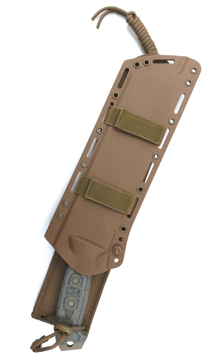 Buck Talon 10" 5160 Coyote Tan Cerakote Tricolor Micarta Fixed Blade Knife with MOLLE Sheath 0808BRX2-B