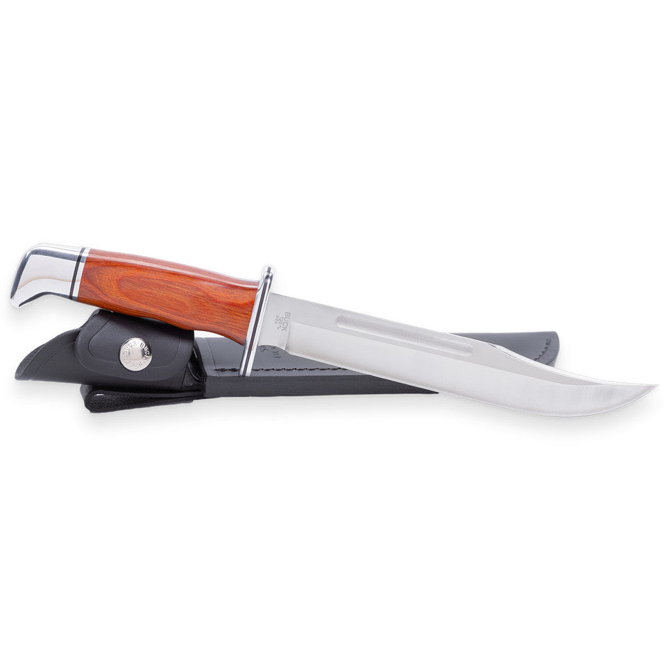 Buck 120 General Heritage 7.38" 420HC DymaLux Cocobolo Fixed Blade Knife - Made in USA - 0120CCS1-B