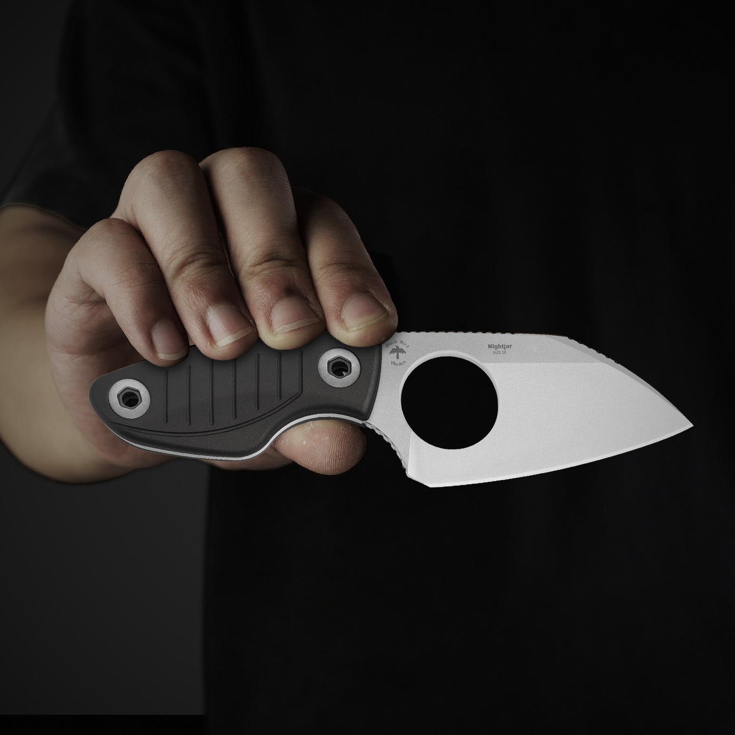 Kizer Nightjar 2.94" Aichi AUS-10 Gray Aluminium Fixed Blade Knife by Black Bird Blades 1114A2