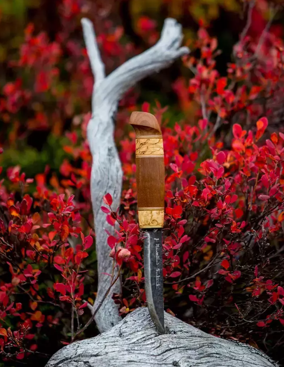 Marttiini Kierinki 4.33" Hand-Forged Carbon Curly Birch Puukko Knife with Leather Sheath