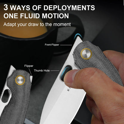 Kizer Seagull 2.9" 14C28N Gray Micarta Folding Knife V3770A1