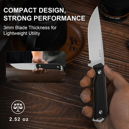 Kizer Begleiter Fix 3.74" AEB-L Black G10 Fixed Blade Knife 1045MD2