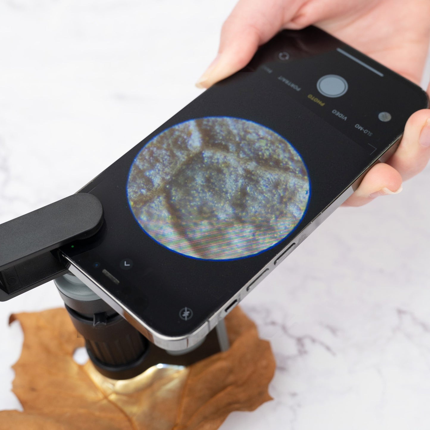 Carson MicroBrite™ Pro 60x-120x LED Lighted Zoom Pocket Microscope with Smartphone Adapter Clip MM-350