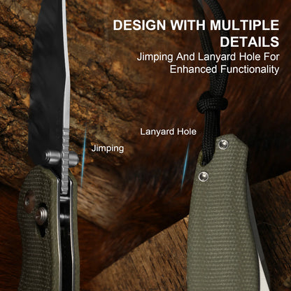 Kizer Phoca 2.9" AEB-L Green Micarta Clutch-Lock Folding Knife V3780A1