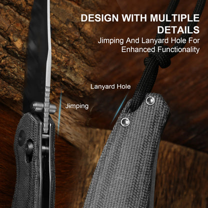 Kizer Phoca 2.9" AEB-L Norplex UltreX Micarta Clutch-Lock Folding Knife V3780A3