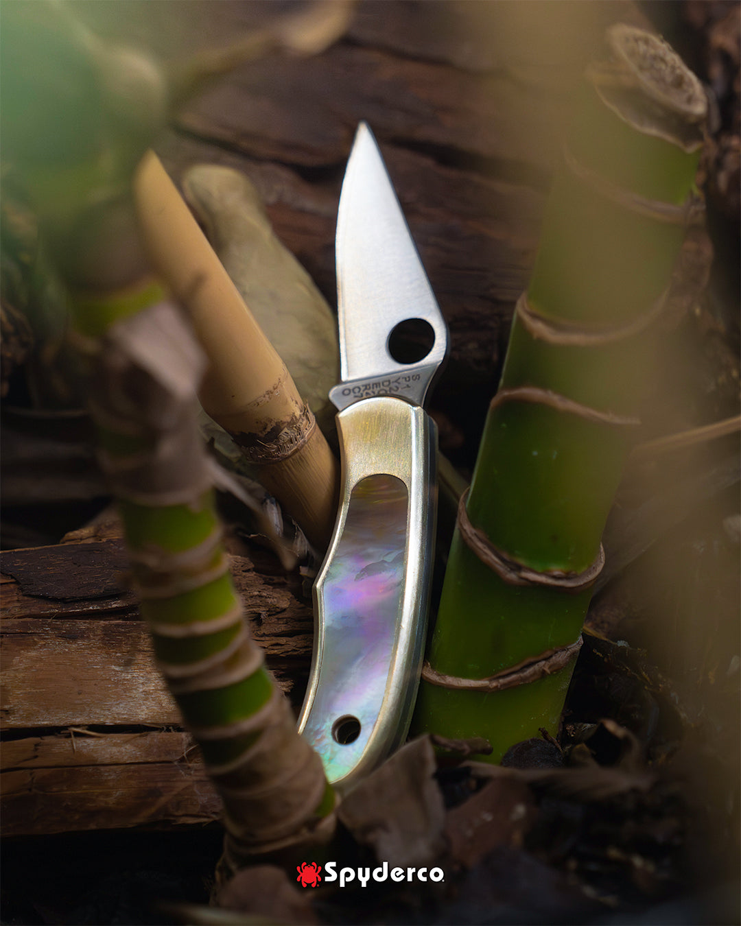 Spyderco Bug Nickel Silver Abalone 1.25" Sandvik 12C27 Micro Folding Knife C133AP