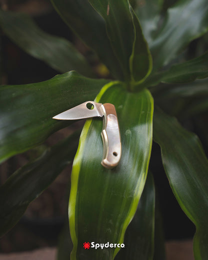 Spyderco Bug Nickel Silver Abalone 1.25" Sandvik 12C27 Micro Folding Knife C133AP