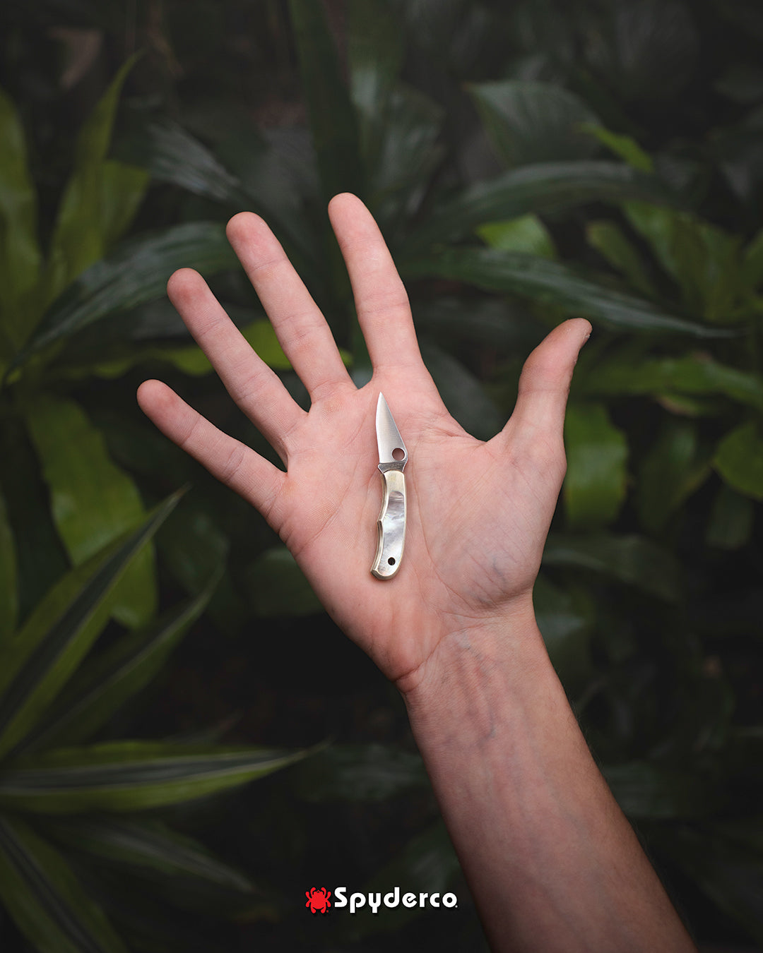 Spyderco Bug Nickel Silver Abalone 1.25" Sandvik 12C27 Micro Folding Knife C133AP