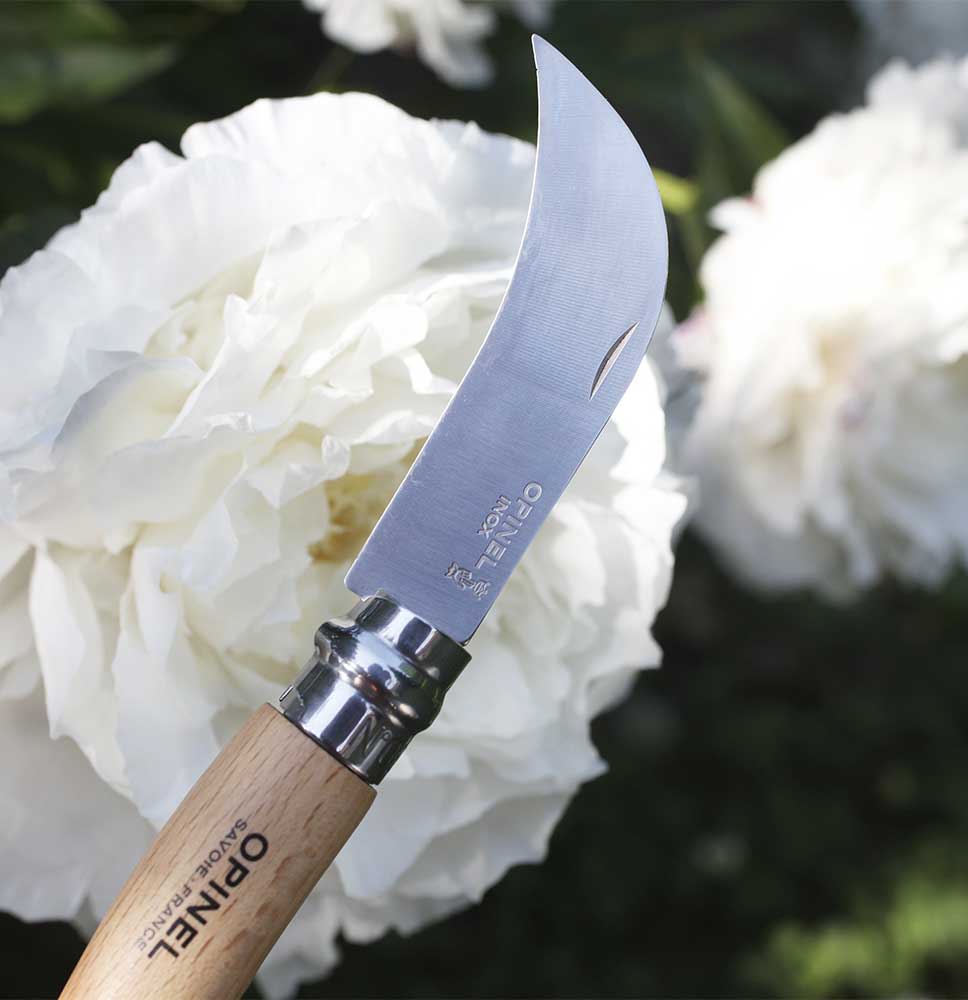Opinel No.8 Pruning & Grafting 3.25" Stainless Folding Knife - Made in France