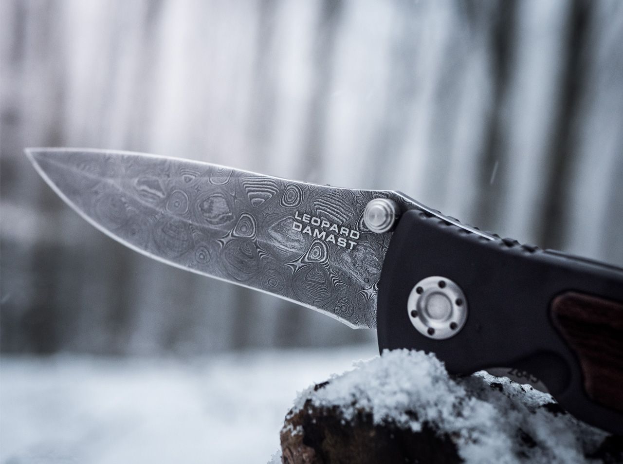 Boker Solingen Leopard II 3.75" Damascus Folding Knife with Ziricote Handle - Made in Germany 111054DAM