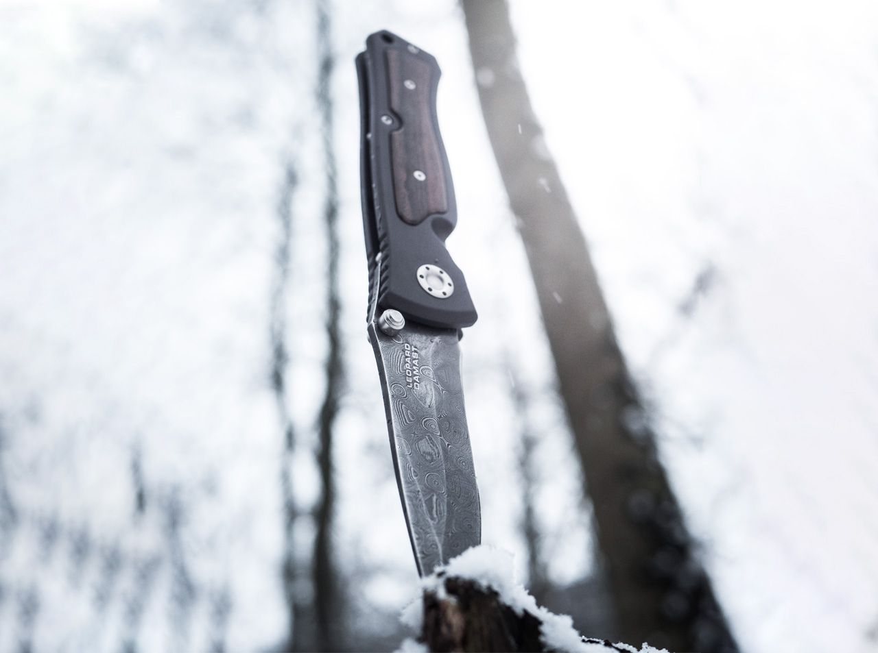 Boker Solingen Leopard II 3.75" Damascus Folding Knife with Ziricote Handle - Made in Germany 111054DAM