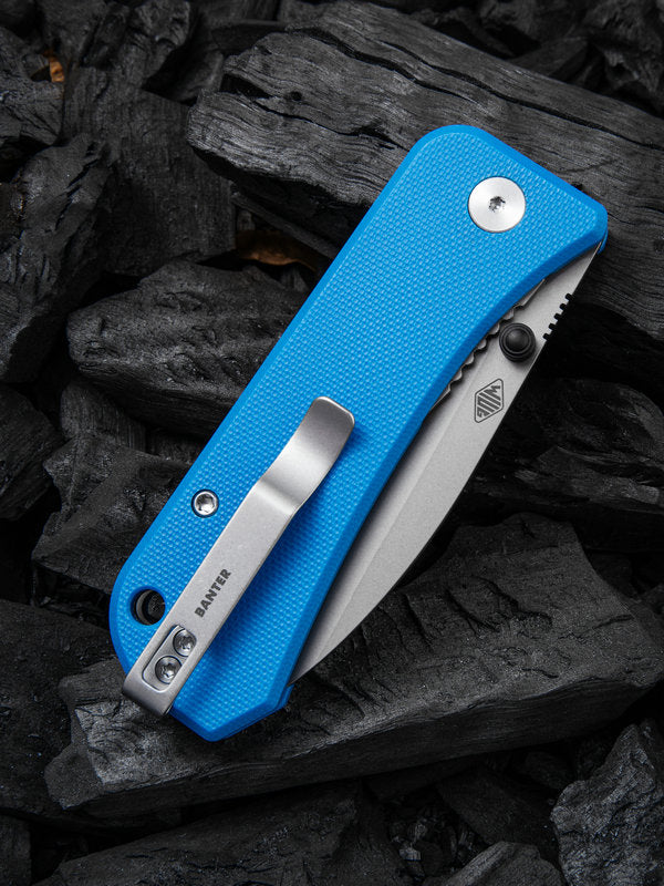 WE Knife Banter 2.9" CPM S35VN Stonewash Blue G10 Folding Knife 2004A