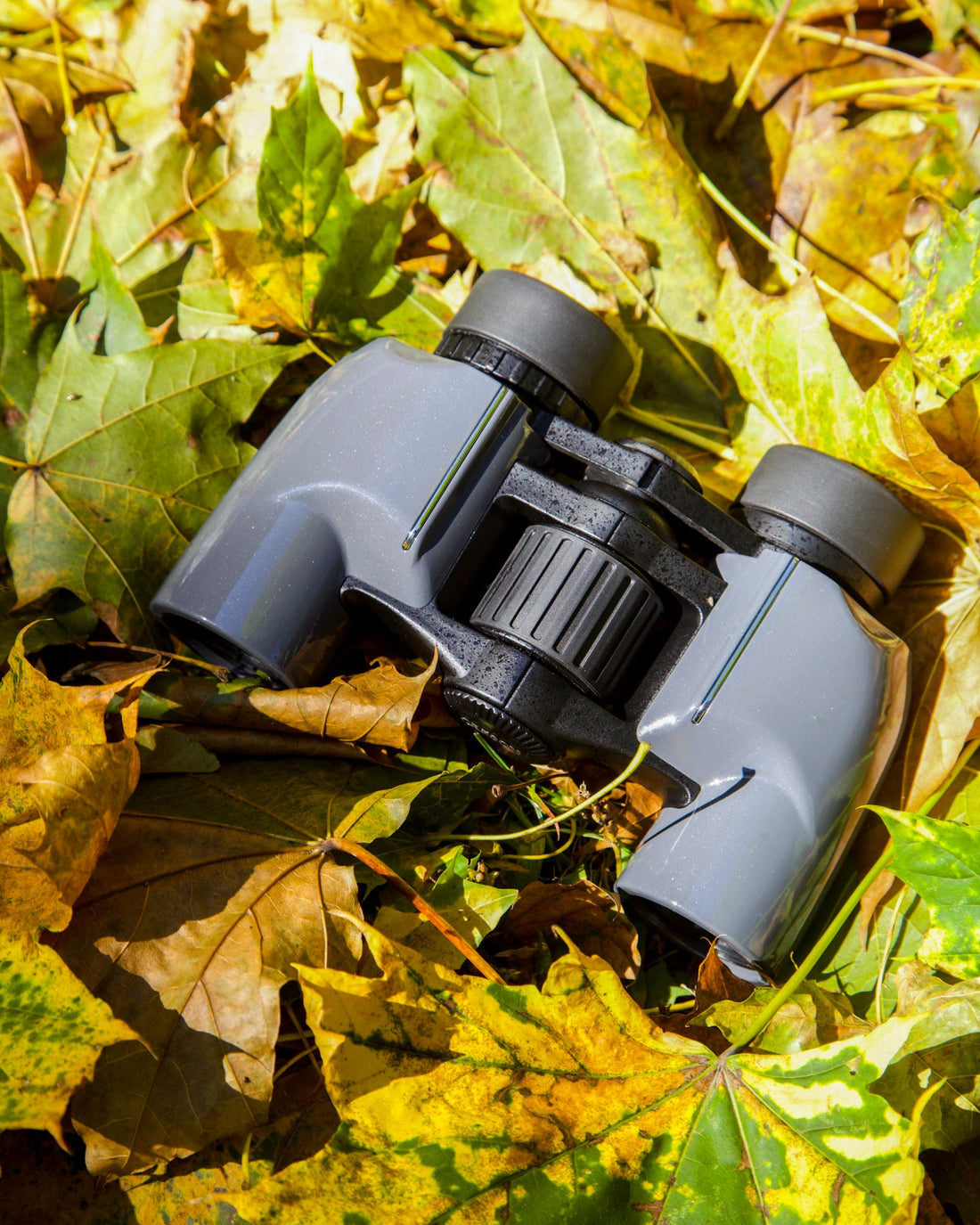Carson Mantaray 8x24mm BAK-4 High-Index Porro Prism Compact Binoculars MR-824