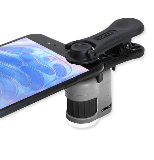 Carson MicroMini 20x LED Lighted Pocket Microscope with Built-in LED and UV Flashlight, Smartphone Digiscoping Adapter Clip MM-380
