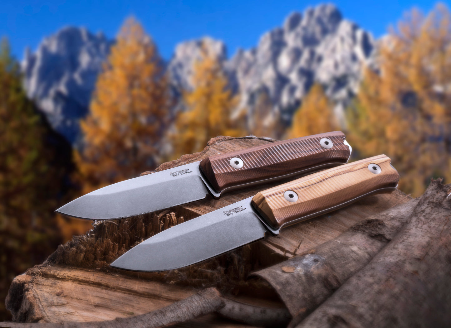 LionSteel B40 Bushcraft 3.86" Sleipner Olive Wood Fixed Blade Knife with Leather Sheath
