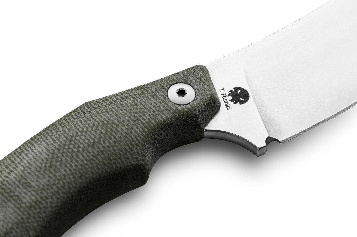 LionSteel H1 2.95" M390 Green Canvas Micarta Fixed Blade Knife